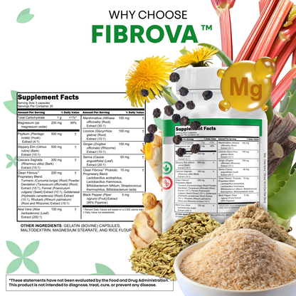 Fibrova